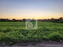 Działka budowlana Głosków. Zdjęcie 4