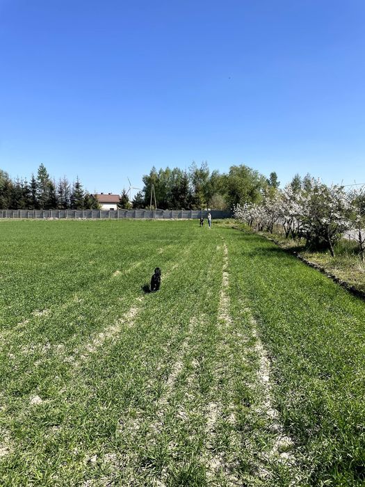 Działka budowlana Drużyny. Zdjęcie 2