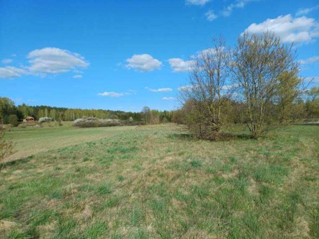 Działka rekreacyjna Królewo. Zdjęcie 1