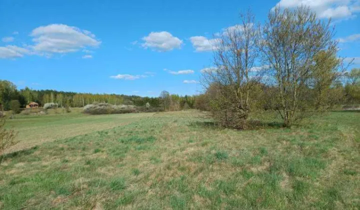 Działka rekreacyjna Królewo