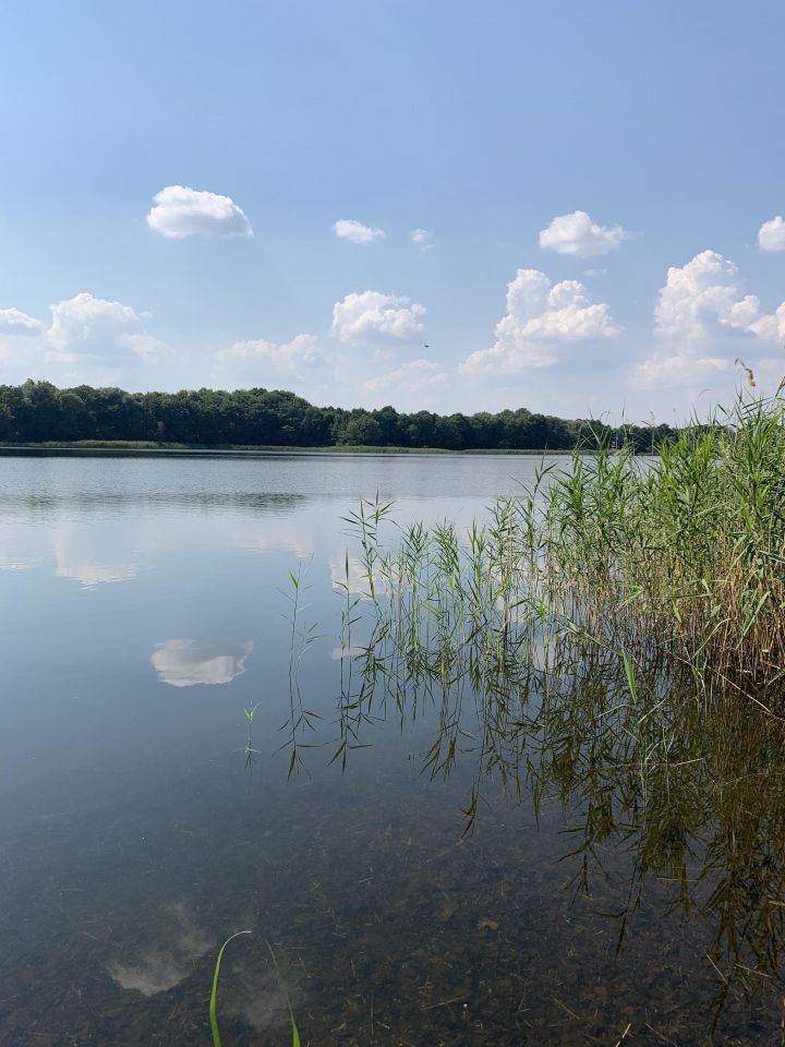 Działka budowlana Drawsko Pomorskie, ul. Polna. Zdjęcie 8