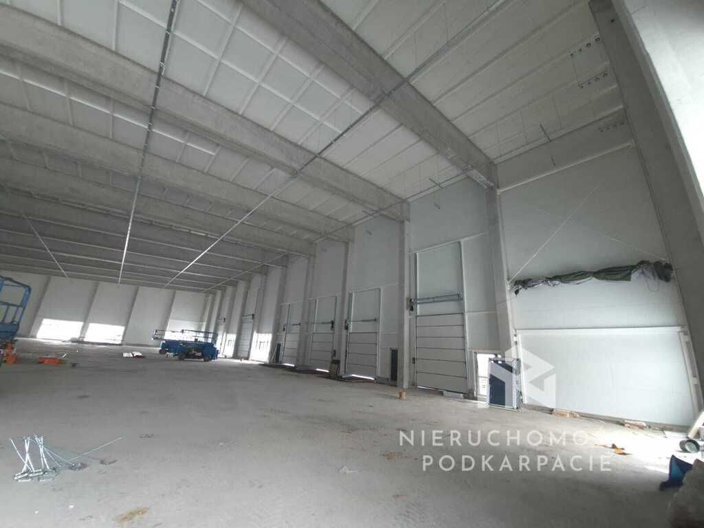 Hala/magazyn Rzeszów Dworzysko, ul. Biznesowa. Zdjęcie 7