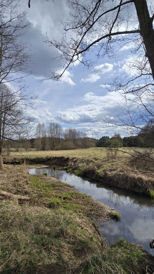 Działka rolno-budowlana Ostrykół Włościański. Zdjęcie 2