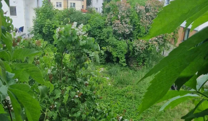 Działka budowlana Gdynia Orłowo, ul. Akacjowa