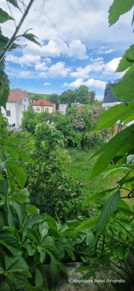 Działka budowlana Gdynia Orłowo, ul. Akacjowa. Zdjęcie 1