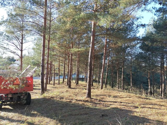 Działka budowlana Okuniowiec. Zdjęcie 2