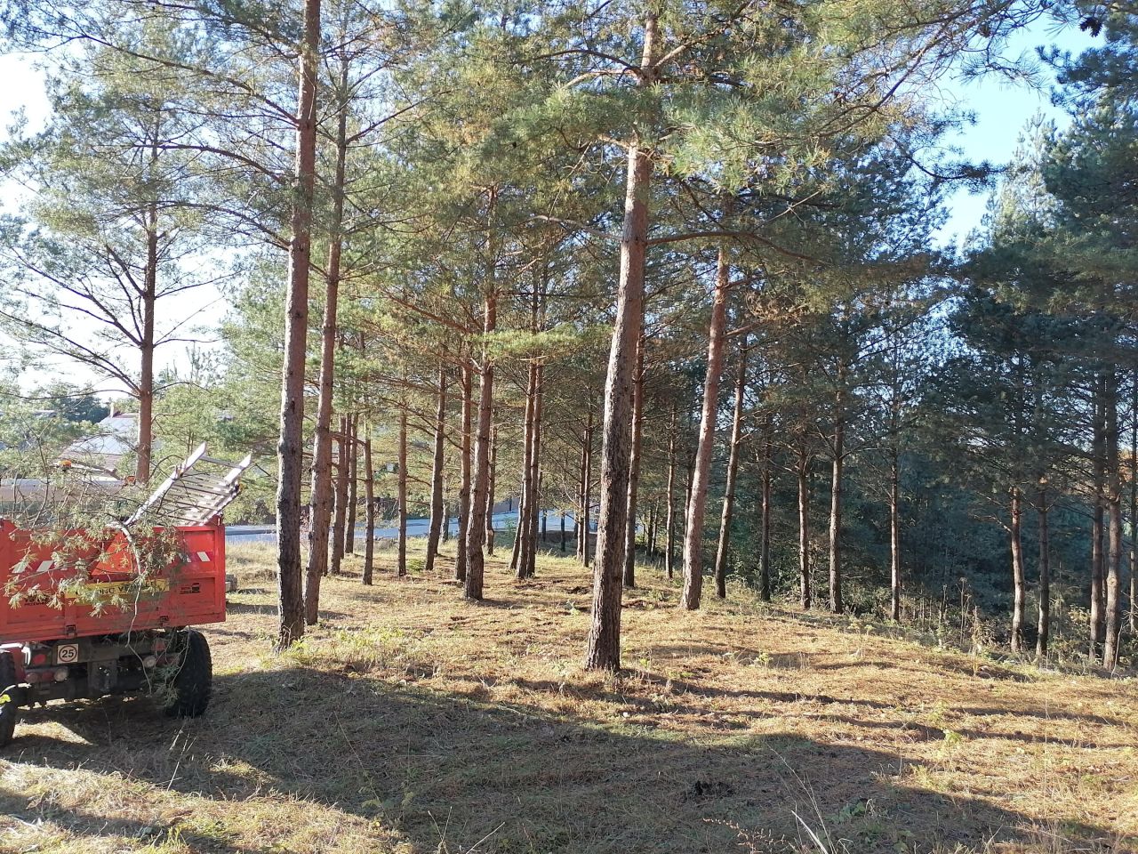 Działka budowlana Okuniowiec. Zdjęcie 2
