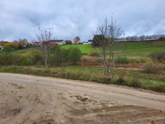 Działka rolna Grabówko. Zdjęcie 1