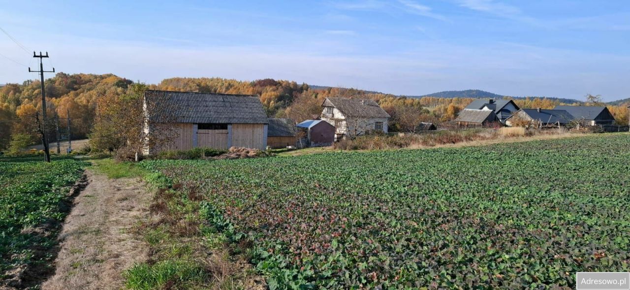 Działka rolna Czyżów. Zdjęcie 10