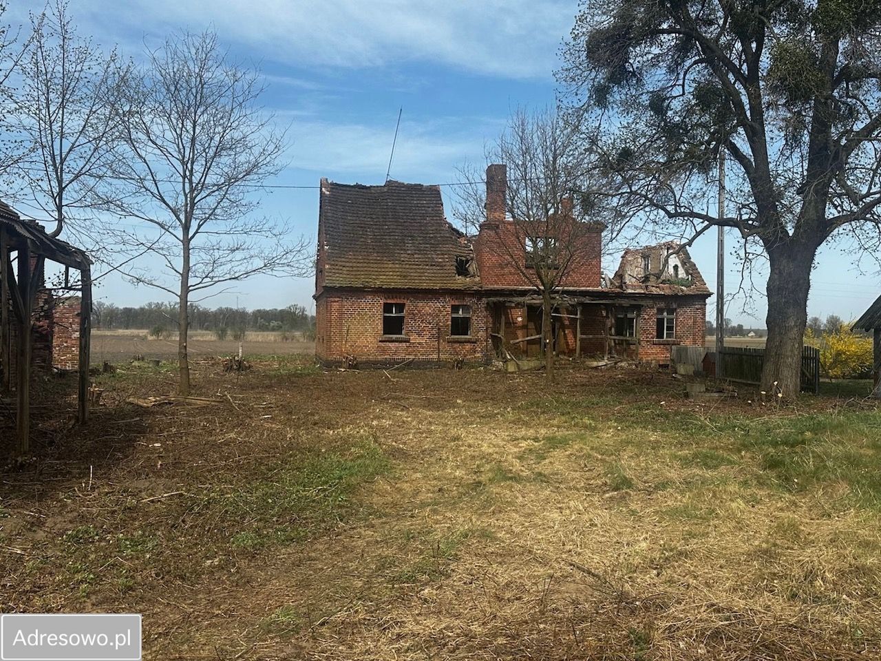 Działka rolno-budowlana Henrykowice. Zdjęcie 2
