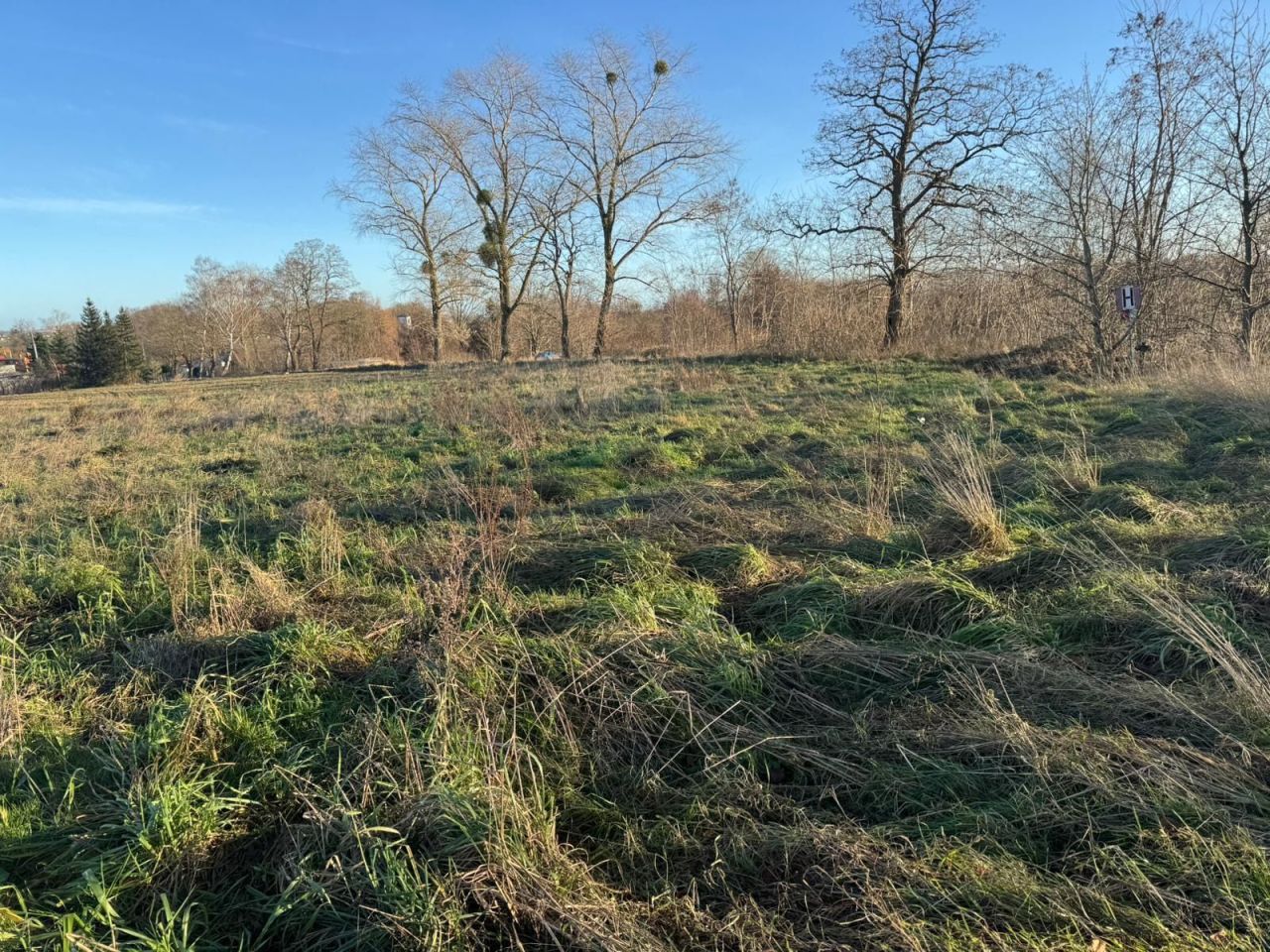 Działka budowlana Starzyński Dwór. Zdjęcie 3