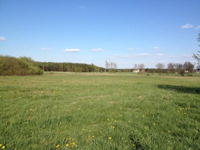 Działka budowlana Osiek. Zdjęcie 2