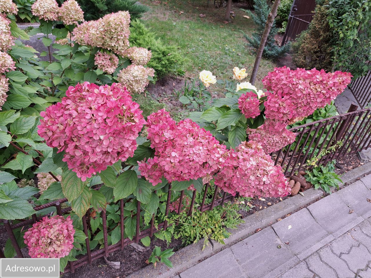 dom wolnostojący, 5 pokoi Skaryszew, ul. Polna. Zdjęcie 9