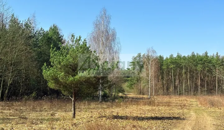 Działka budowlana Ojrzanów