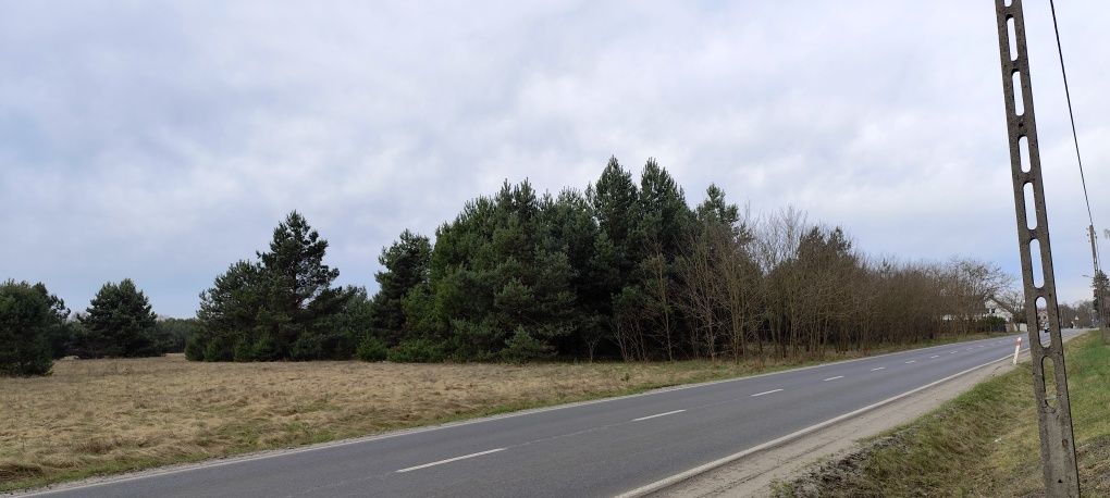 Działka budowlana Zielona Góra, ul. Ochla-Pustynna. Zdjęcie 2