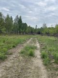 Działka rekreacyjna Orzechów-Kolonia. Zdjęcie 2