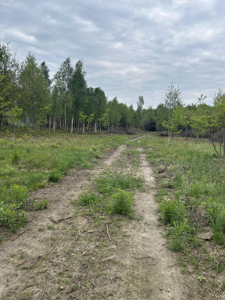 Działka rekreacyjna Orzechów-Kolonia. Zdjęcie 3