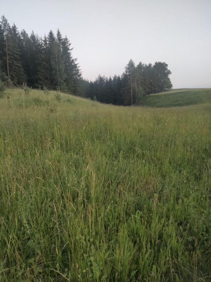 Działka rolno-budowlana Suwałki Szwajcaria