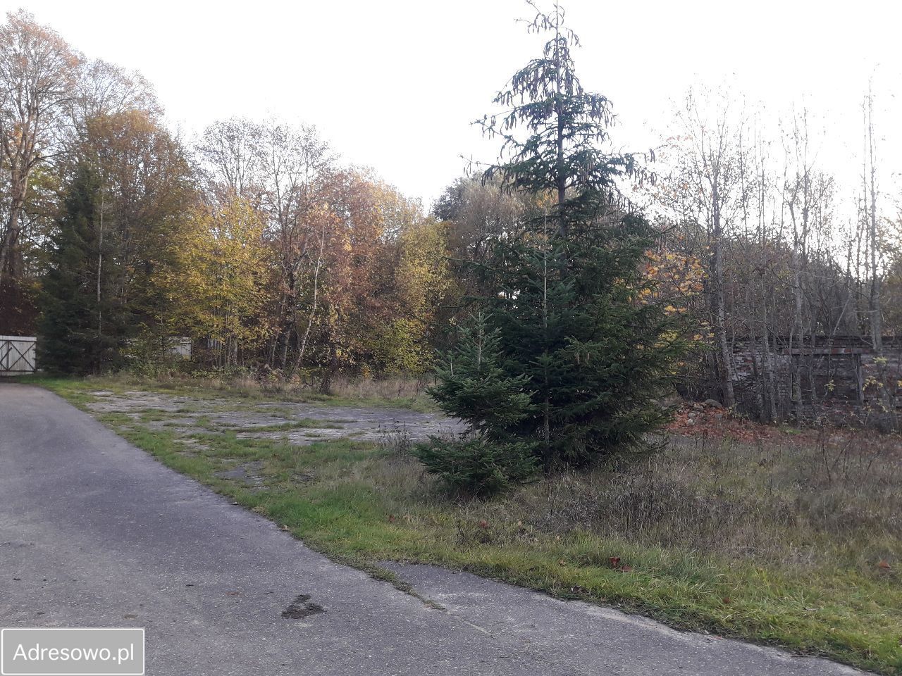 Działka inwestycyjna Poganice. Zdjęcie 6
