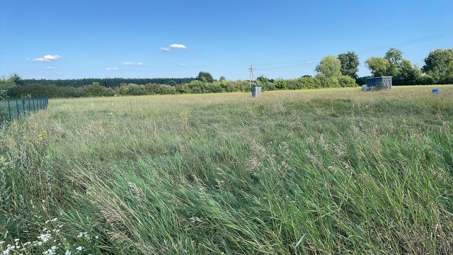 Działka budowlana Studzieniec. Zdjęcie 1