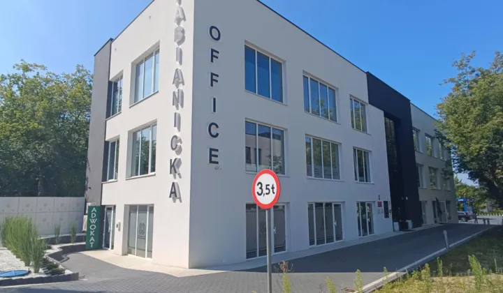 Lokal Bełchatów, ul. Pabianicka