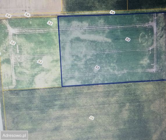 Działka rolna Zalesie. Zdjęcie 1