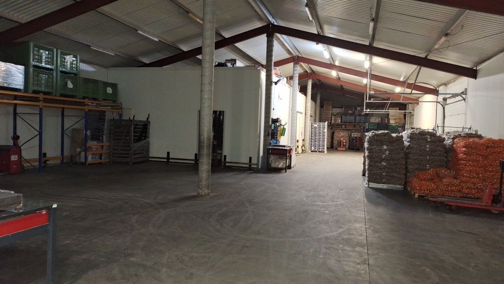 Hala/magazyn Białystok Bacieczki, ul. Przędzalniana. Zdjęcie 2