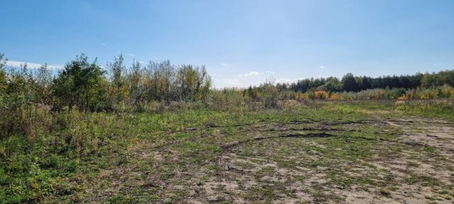 Działka budowlana Żółwin. Zdjęcie 3