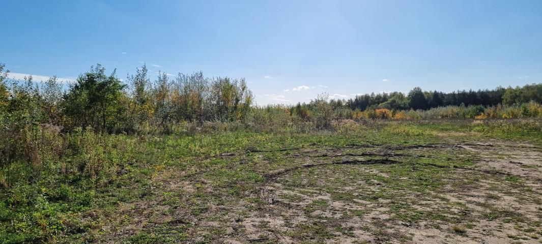 Działka budowlana Żółwin. Zdjęcie 3