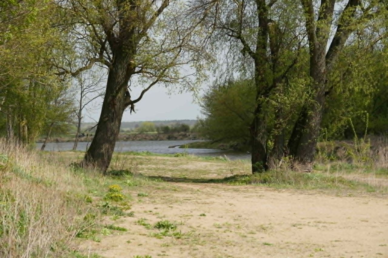 Działka budowlana Brok, ul. Głęboka. Zdjęcie 6