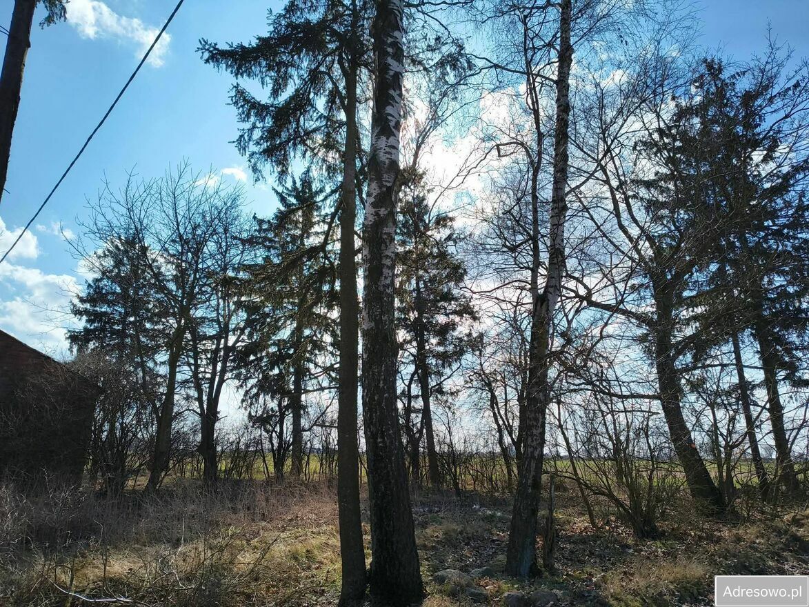 siedlisko, 3 pokoje Łubki. Zdjęcie 5