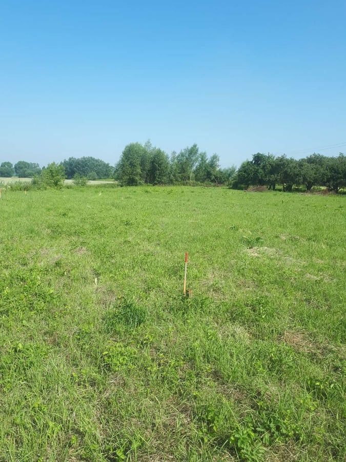 Działka rolna Tarnobrzeg Wielowieś, ul. Nowa. Zdjęcie 9