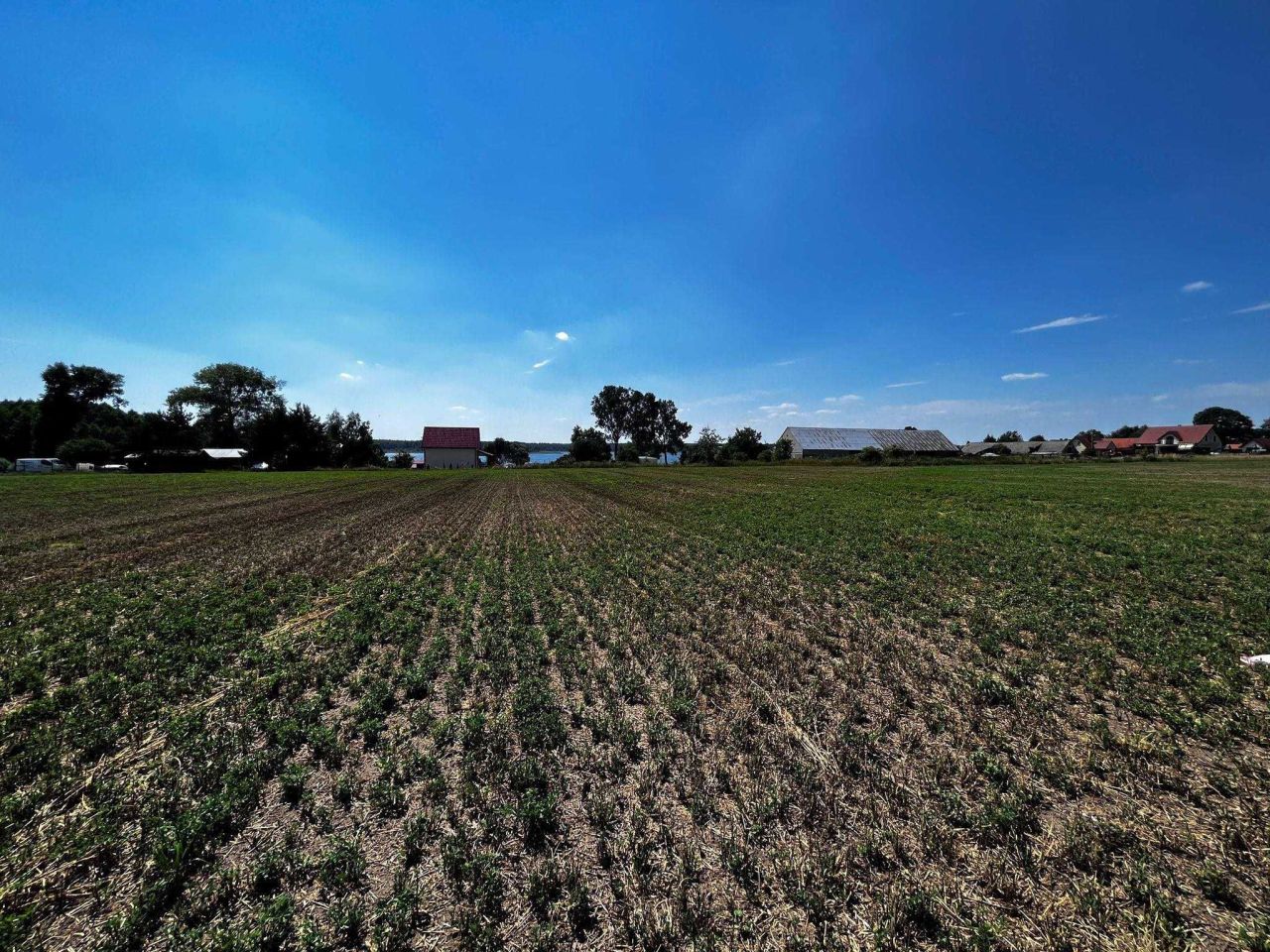 Działka budowlana Kwik. Zdjęcie 6