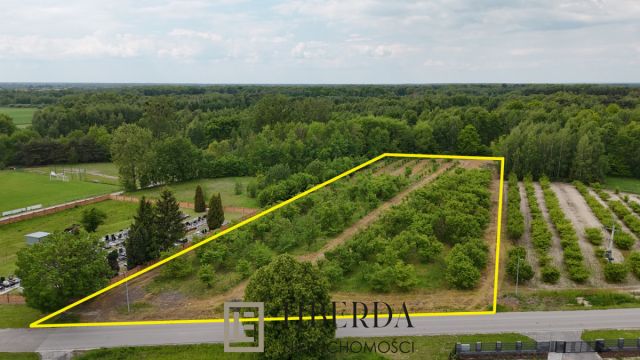 Działka inwestycyjna Ludwin. Zdjęcie 2