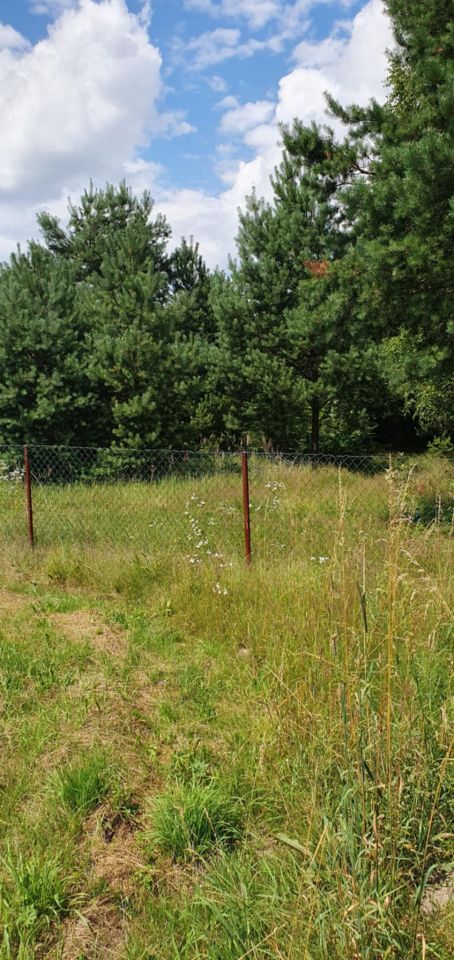 Działka rolna Życiny. Zdjęcie 5