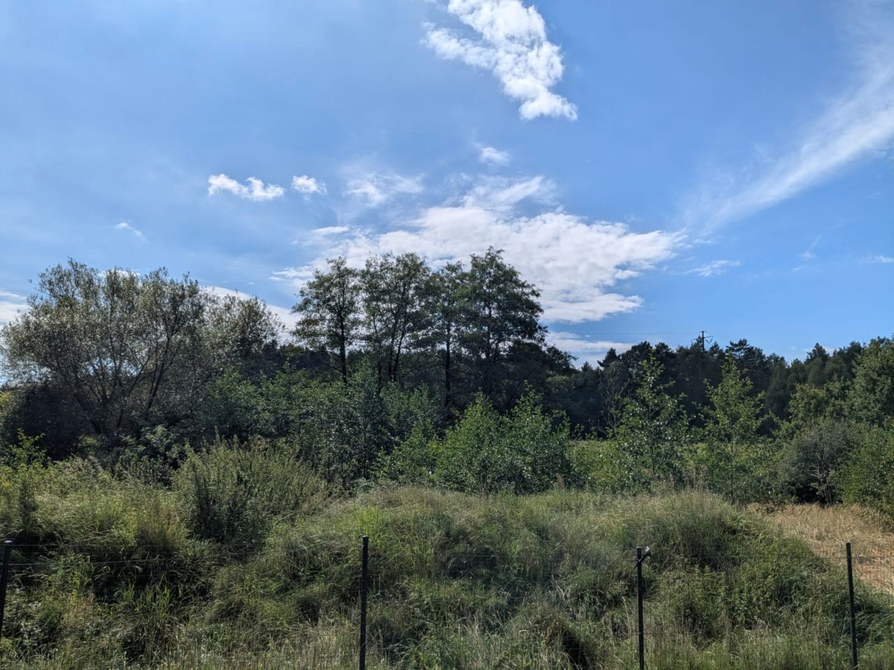 Działka budowlana Radomia Orzewo. Zdjęcie 15