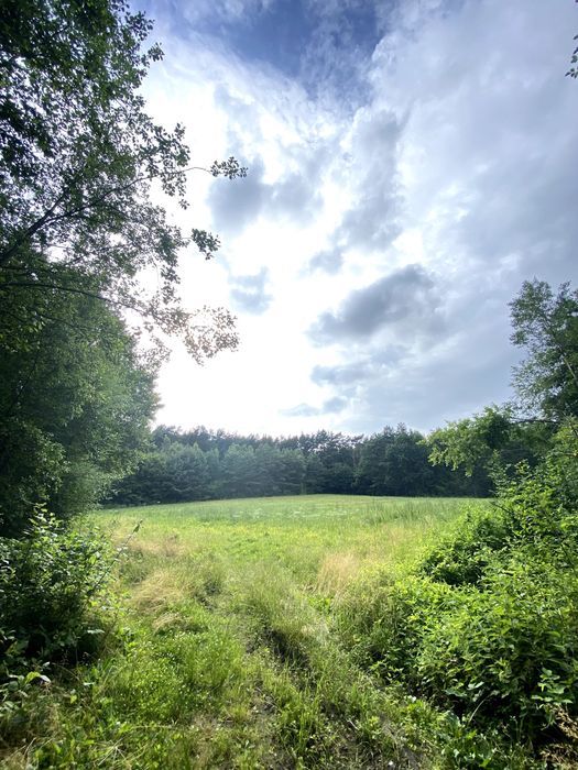 Działka budowlana Błędowo. Zdjęcie 4