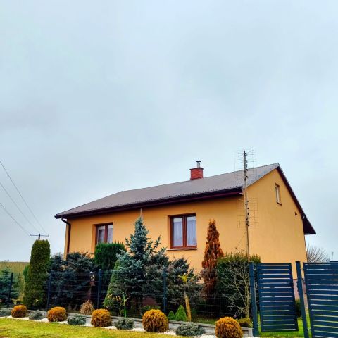 Działka rolno-budowlana Skarbkowa. Zdjęcie 1