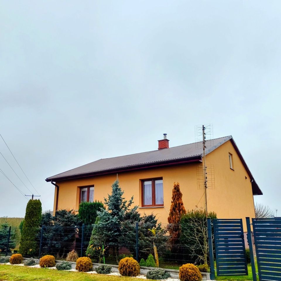 Działka rolno-budowlana Skarbkowa. Zdjęcie 1