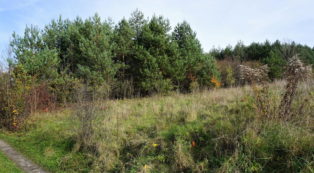 Działka inna Niesułowice Kasprzyki, ul. Żurawia. Zdjęcie 2