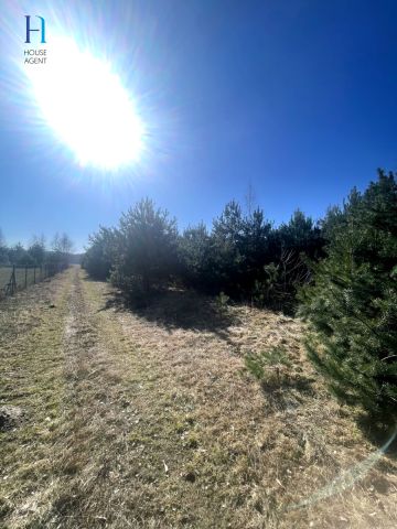 Działka budowlana Janów. Zdjęcie 5