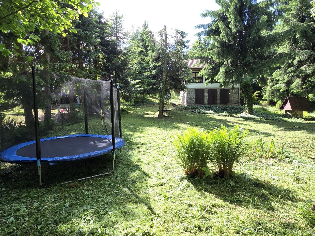 dom wolnostojący, 5 pokoi Borowe. Zdjęcie 17