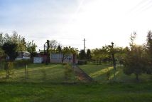 Działka rod Gniezno, ul. Powstańców Wlkp.. Zdjęcie 2