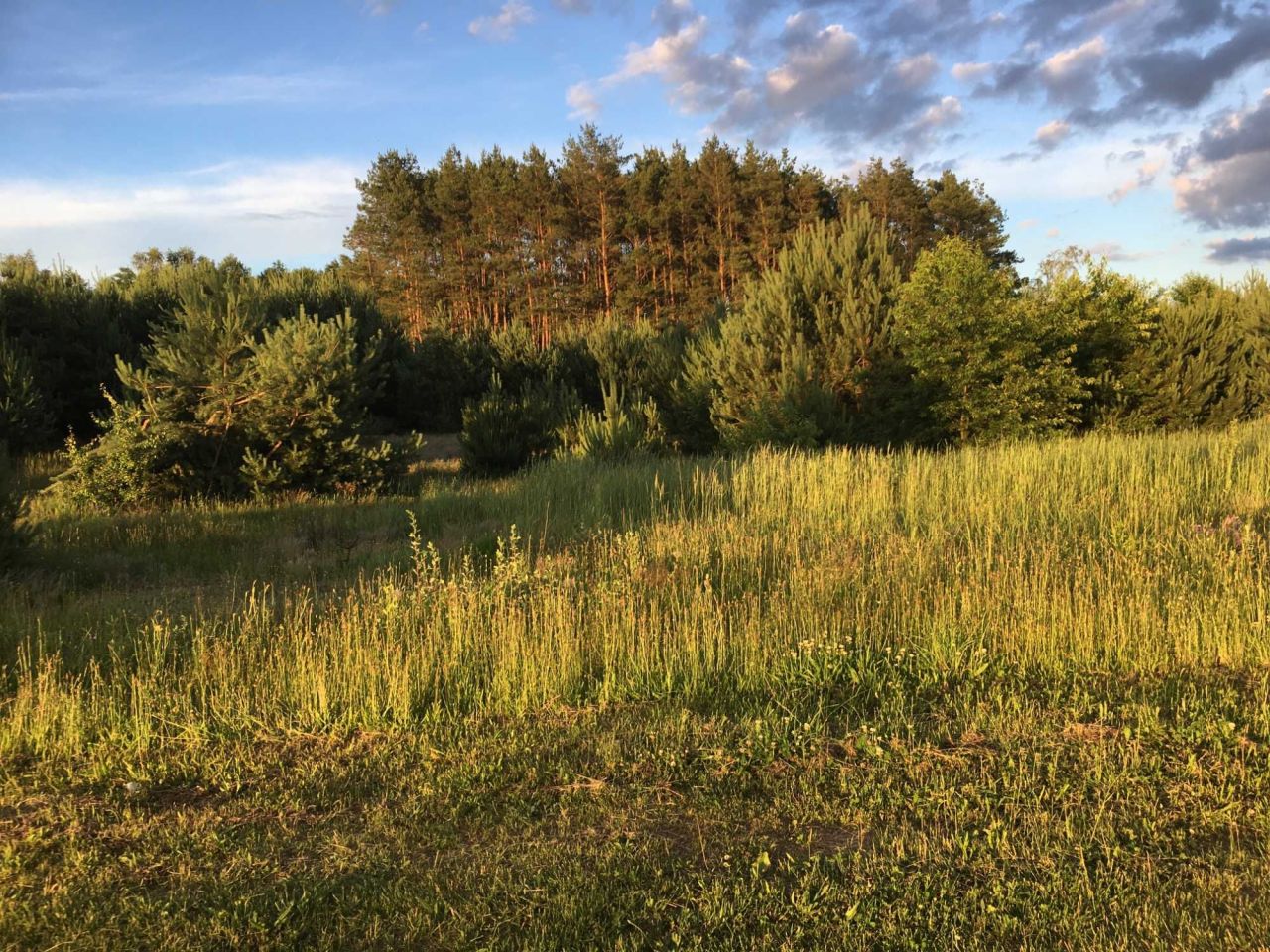 Działka budowlana Nowe Grabie, os. Pod Klonami