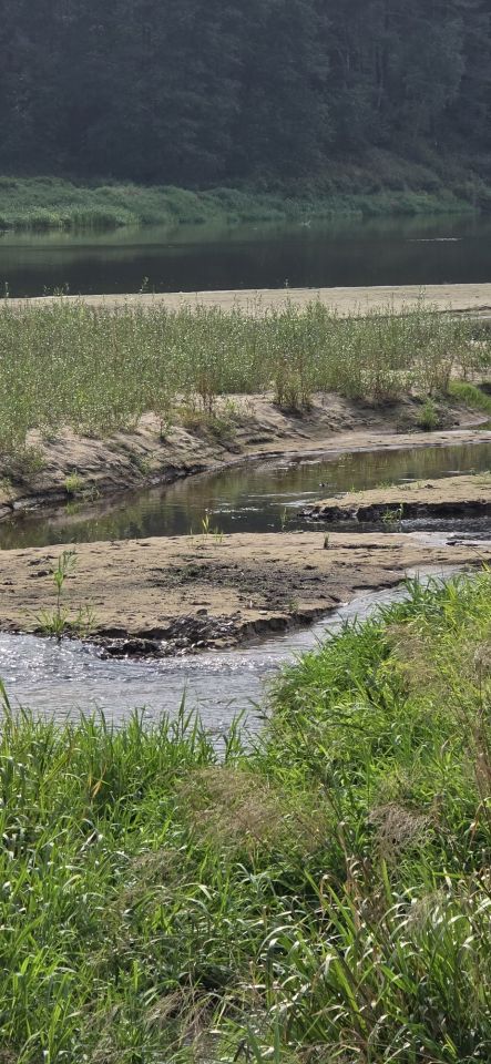 Działka rekreacyjna Mielnik. Zdjęcie 3