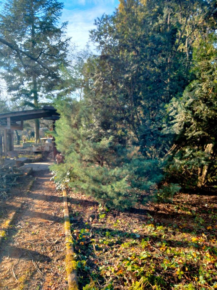 Działka rod Warszawa Mokotów. Zdjęcie 3