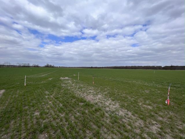 Działka budowlana Wszemirów. Zdjęcie 1