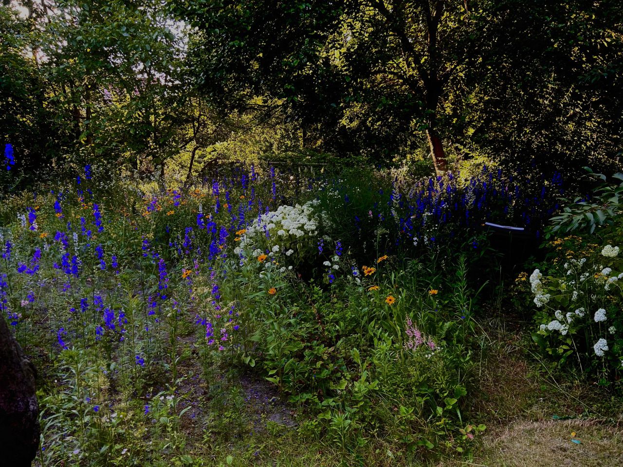 Działka inwestycyjna Puławy Las-Ruda, ul. Henryka Dąbrowskiego. Zdjęcie 12