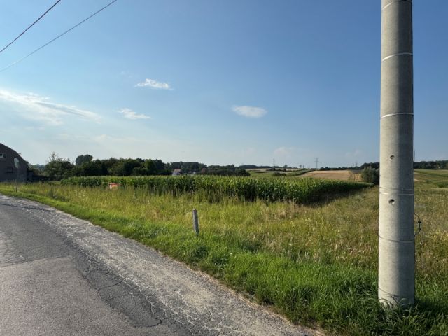 Działka rolno-budowlana Wieszowa. Zdjęcie 3