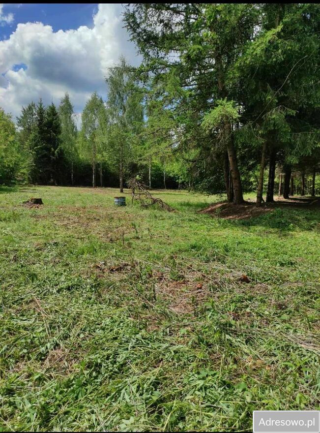 Działka rolno-budowlana Toporów. Zdjęcie 6